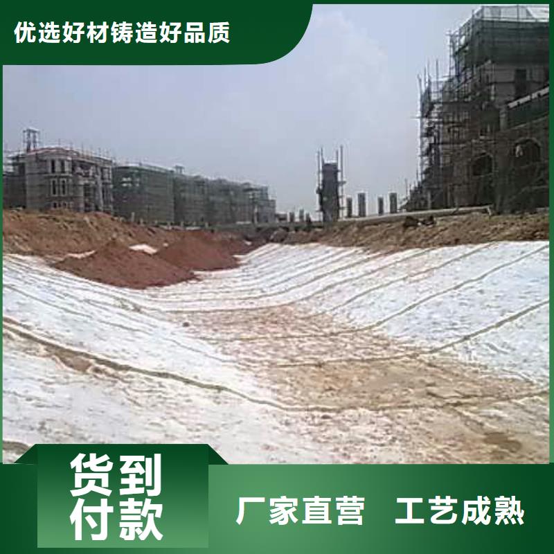 膨润土防水毯塑料土工格栅定金锁价