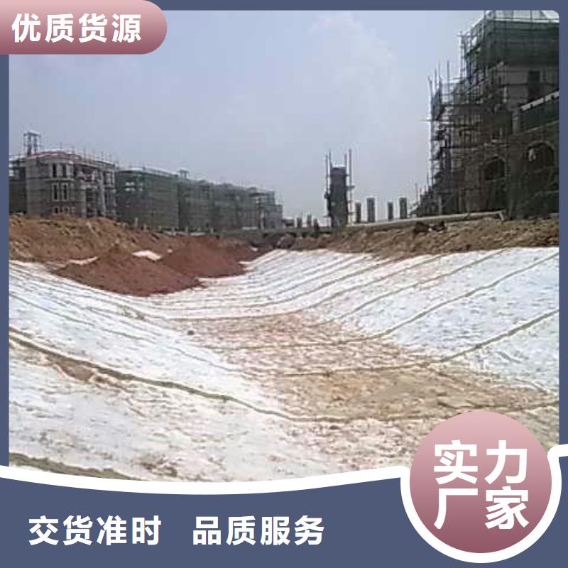 膨潤(rùn)土防水毯塑料土工格柵品質(zhì)值得信賴