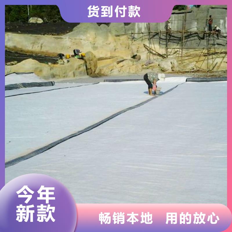 膨润土防水毯涤纶土工格栅免费安装