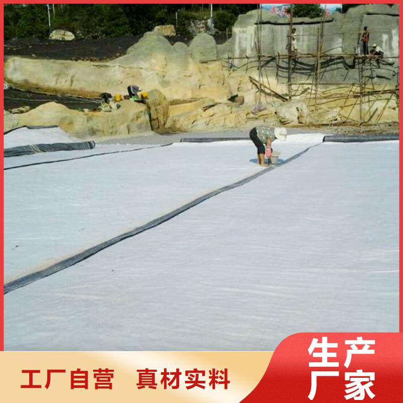 膨潤土防水毯三維土工網(wǎng)墊工廠直營