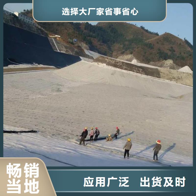 膨润土防水毯_三维土工网垫厂家现货批发