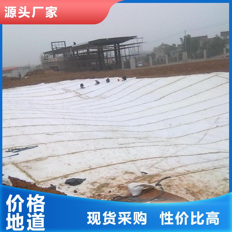 膨潤(rùn)土防水毯塑料土工格柵品質(zhì)值得信賴