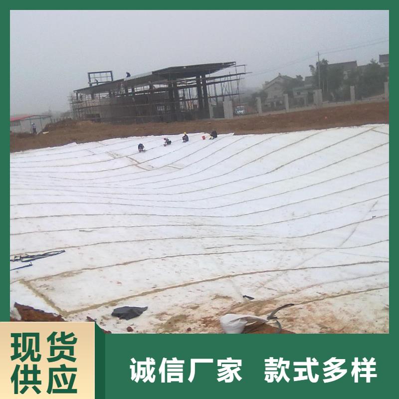 膨润土防水毯,单向塑料土工格栅贴心服务