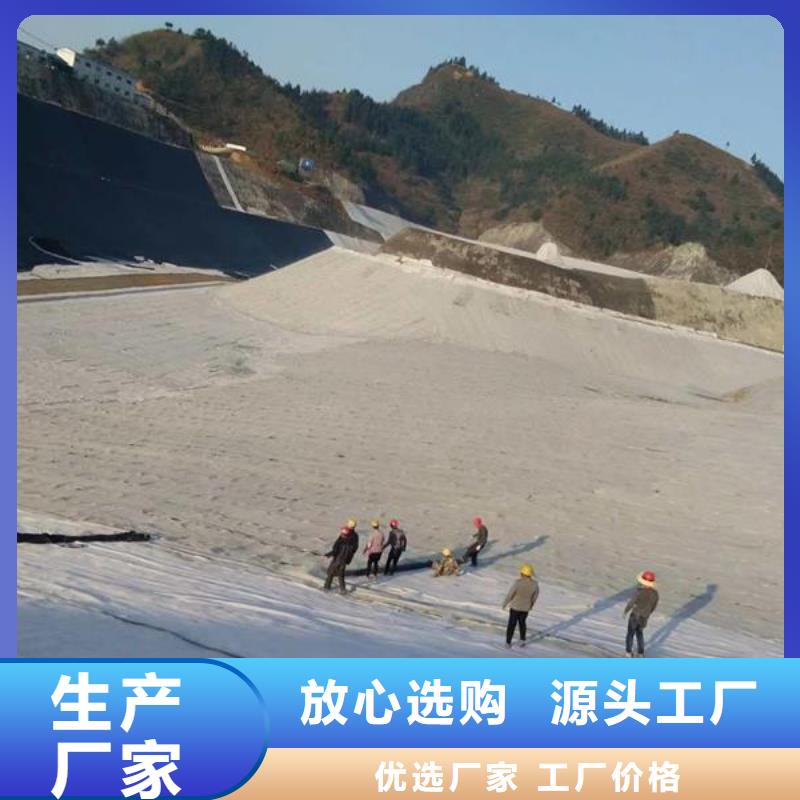 防滲膨潤(rùn)土防水毯生產(chǎn)基地哪里有?