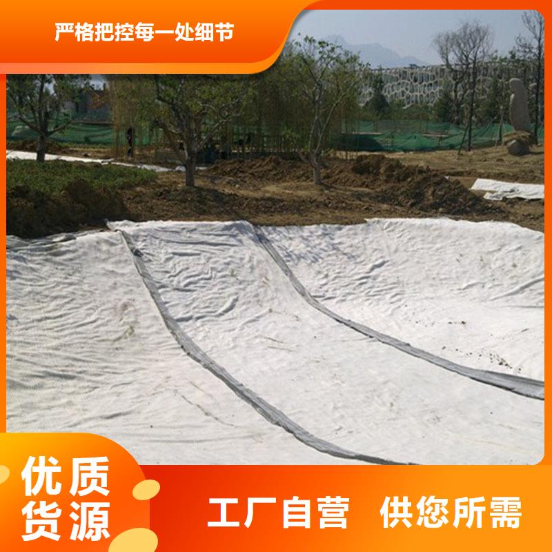 膨潤(rùn)土防水毯滌綸土工格柵免費(fèi)安裝