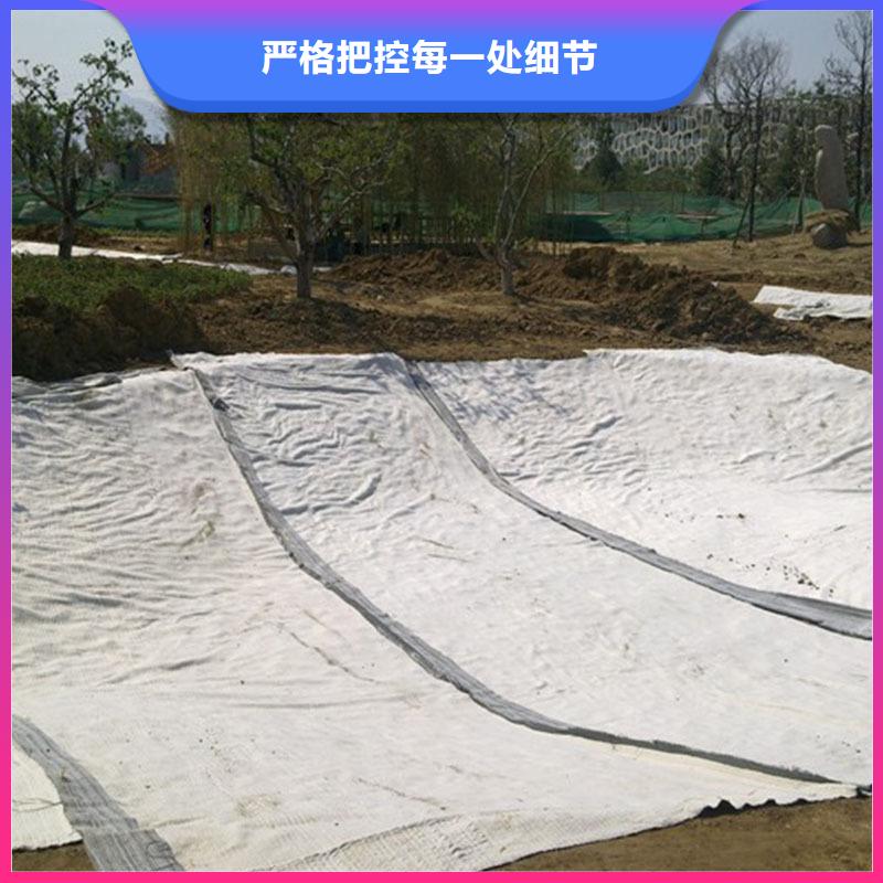 膨润土防水毯凸结点钢塑土工格栅实力厂商