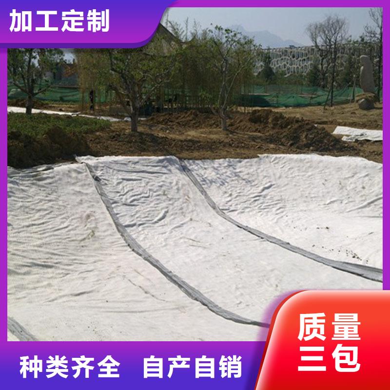 膨润土防水毯涤纶土工格栅免费安装