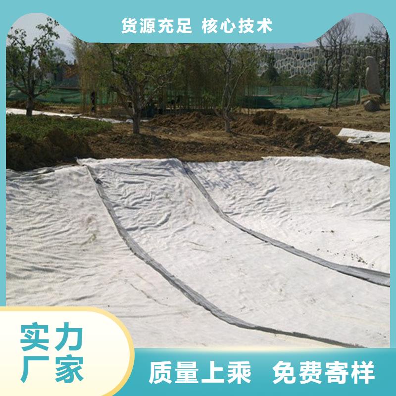 防滲膨潤(rùn)土防水毯生產(chǎn)基地哪里有?