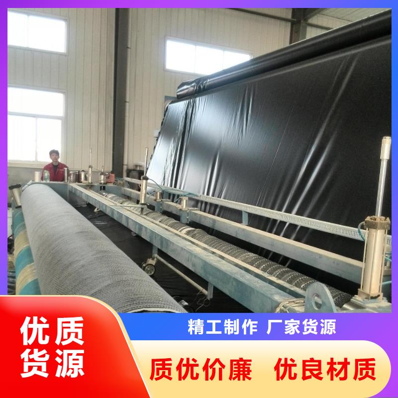 膨润土防水毯涤纶土工格栅免费安装
