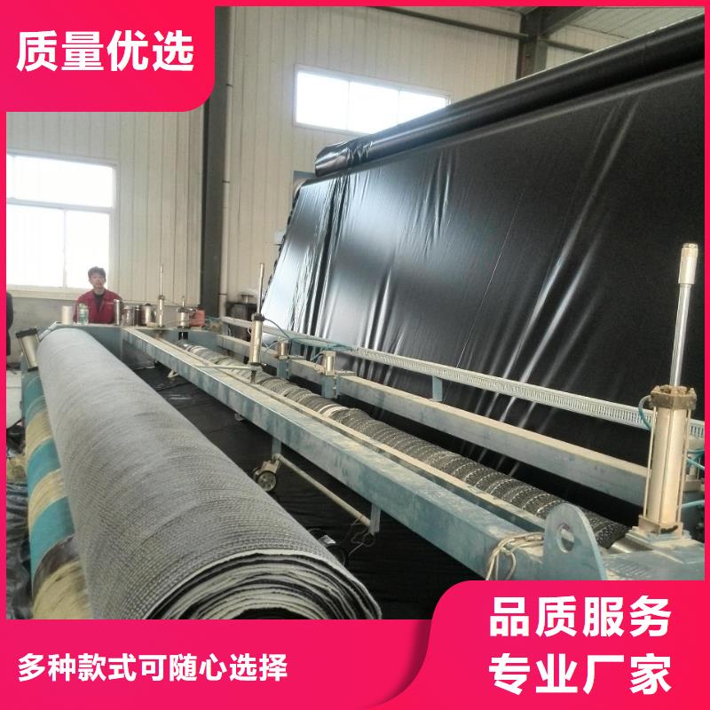膨潤土防水毯土工布庫存量大