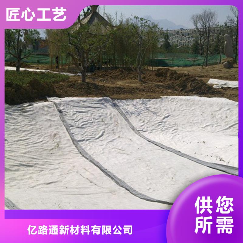 膨润土防水毯涤纶土工格栅免费安装