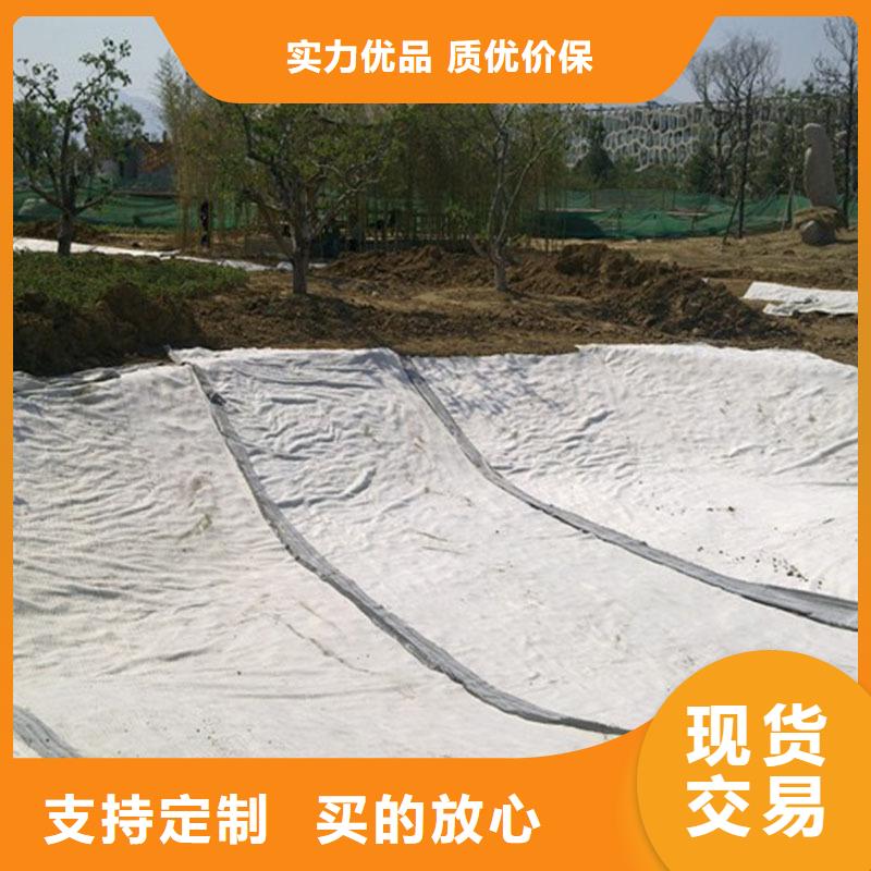 膨潤土防水毯-無紡布用心做好細(xì)節(jié)