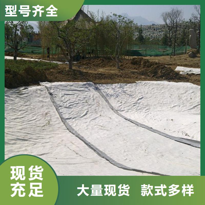 膨潤土防水毯土工布庫存量大