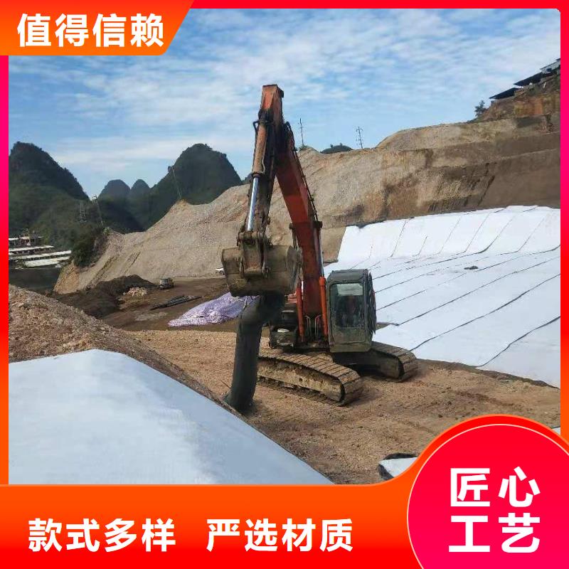 膨润土防水毯涤纶土工格栅免费安装