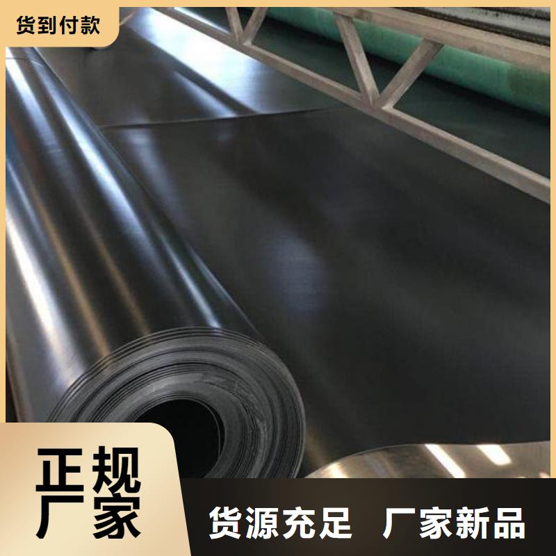 【土工膜】土工格柵甄選好廠家