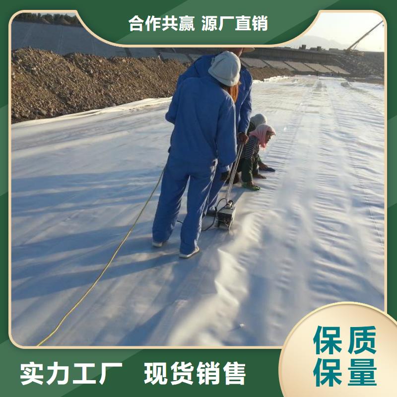 土工膜-塑料排水板同行低價(jià)