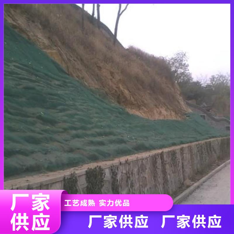 三維植被網(wǎng)土工布有實(shí)力有經(jīng)驗(yàn)