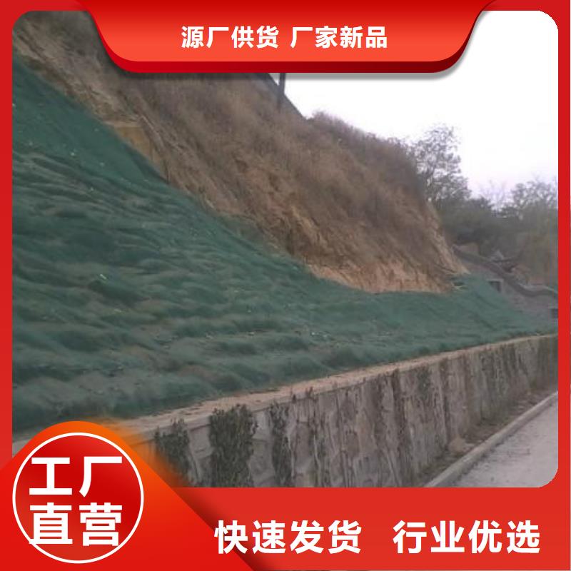 三維植被網(wǎng)土工布有實力有經(jīng)驗