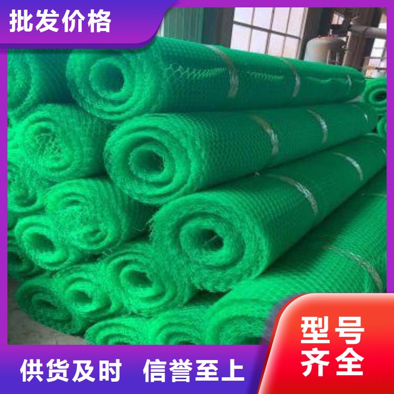 三維植被網(wǎng)土工布有實(shí)力有經(jīng)驗(yàn)