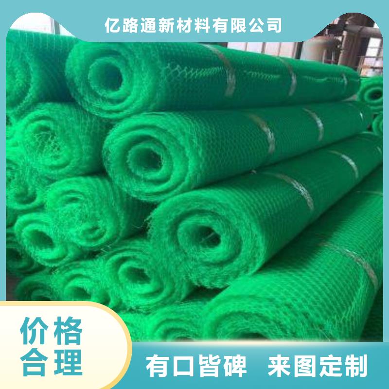 三维植被网土工布有实力有经验