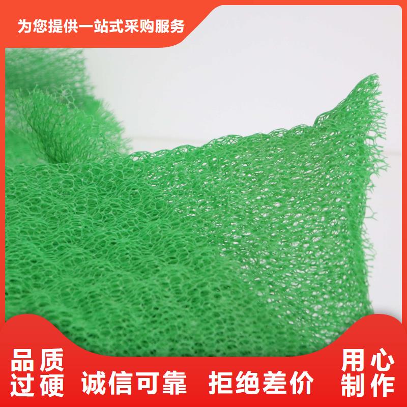 三维植被网复合土工膜随到随提