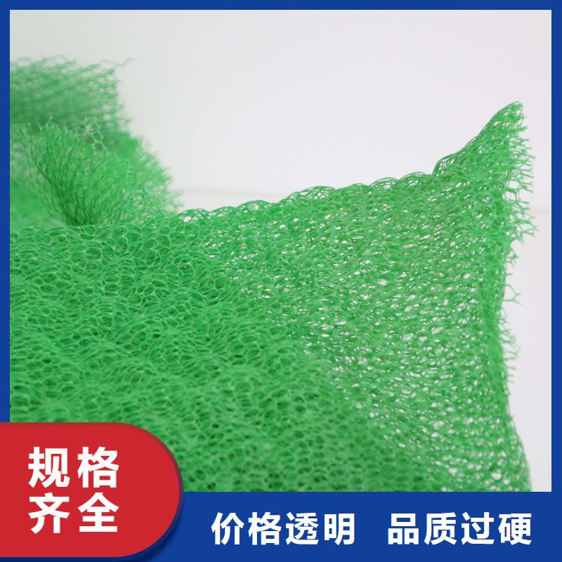 三維植被網(wǎng)塑料土工格柵經(jīng)銷商