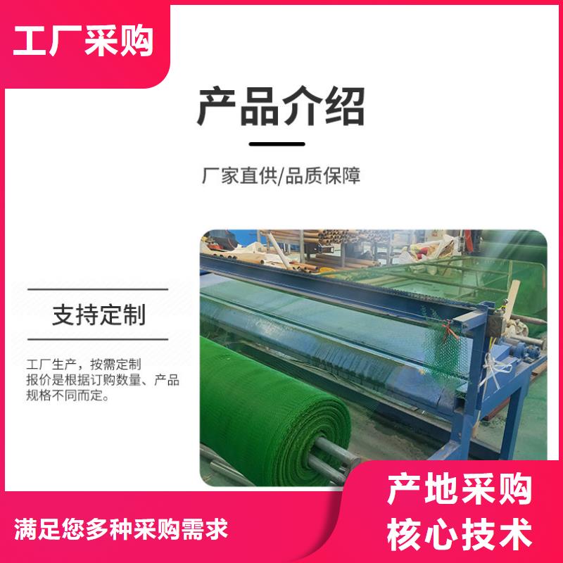 三维植被网双向土工格栅工厂直销