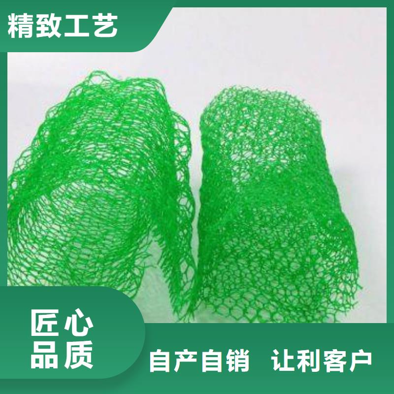 三維植被網(wǎng)復合土工膜服務至上