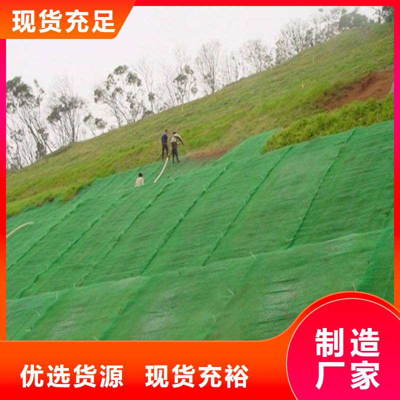三维植被网土工HDPE膜厂家货源稳定