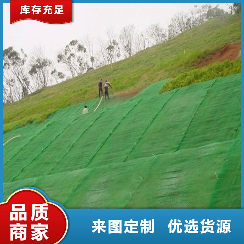 三維植被網(wǎng)復(fù)合土工膜隨到隨提