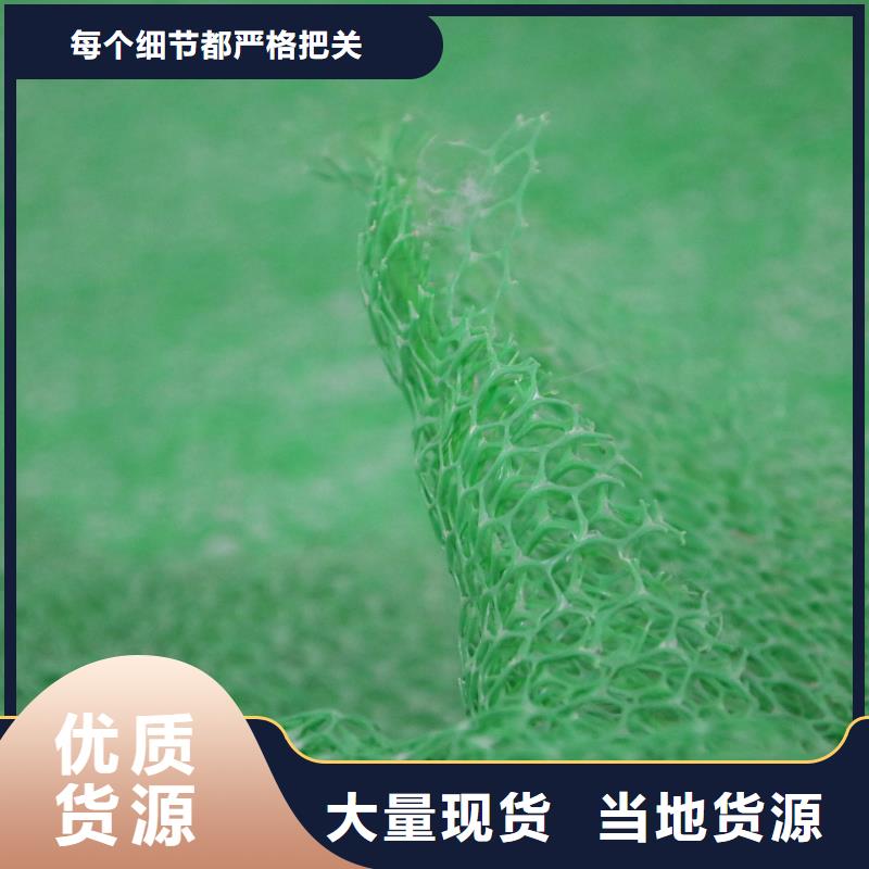 三維植被網(wǎng)土工布有實力有經(jīng)驗