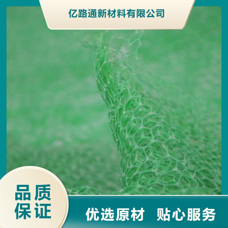 三维植被网土工布有实力有经验