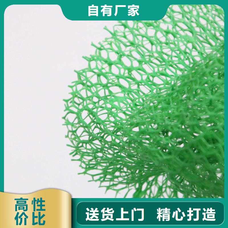 三維植被網(wǎng)塑料土工濾網(wǎng)做工精細