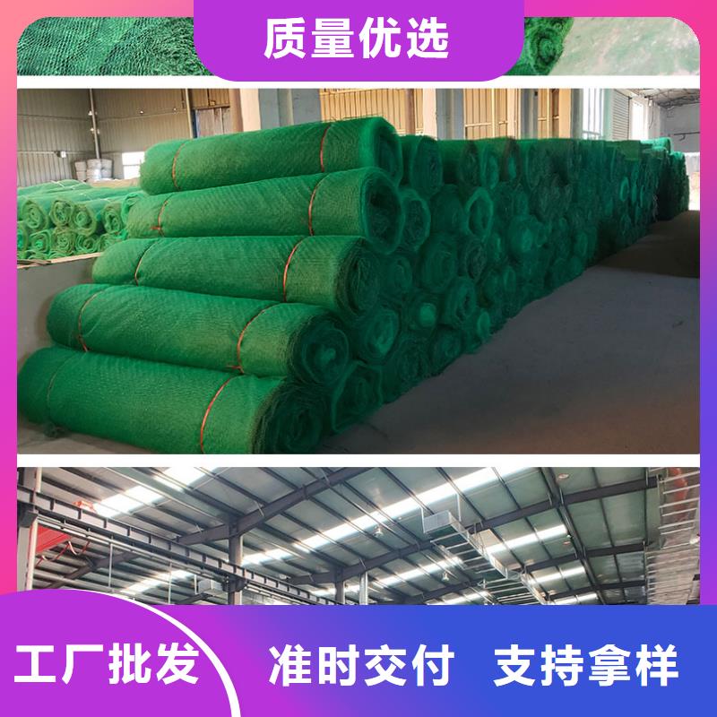 三维植被网土工HDPE膜厂家货源稳定