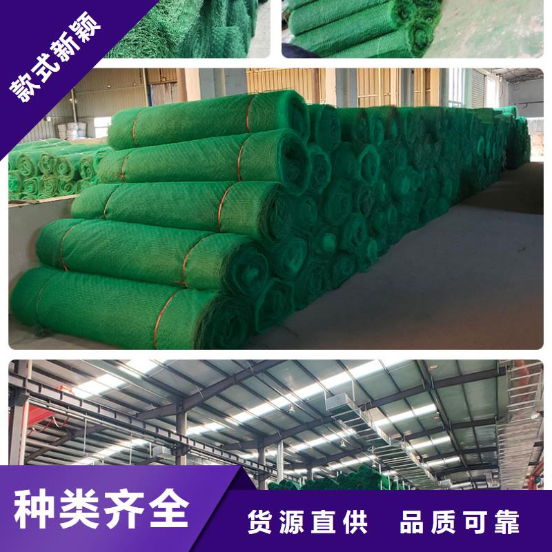 邊坡防護(hù)三維植被網(wǎng)廠家直供
