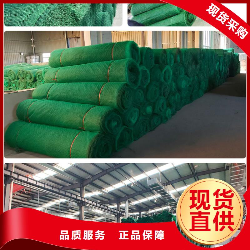 三维植被网塑料土工格栅经销商