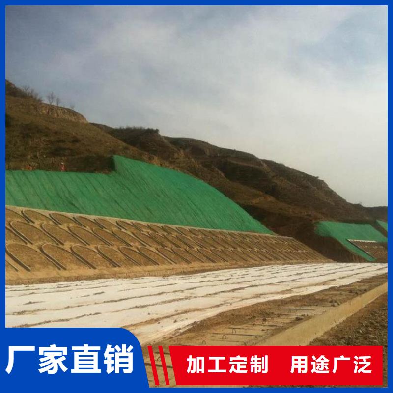 三維植被網(wǎng)塑料土工濾網(wǎng)做工精細