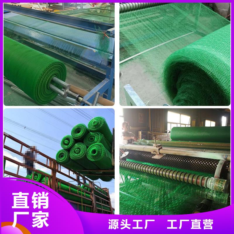 三維植被網(wǎng)垃圾填埋場(chǎng)材料型號(hào)全價(jià)格低
