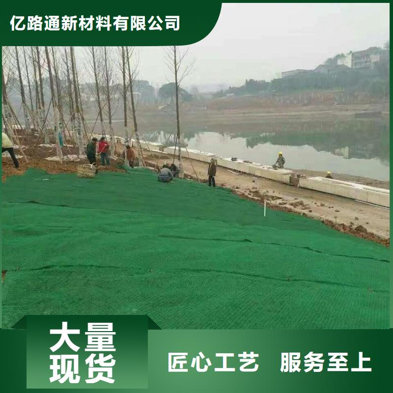 三維植被網(wǎng)塑料土工格柵經(jīng)銷商