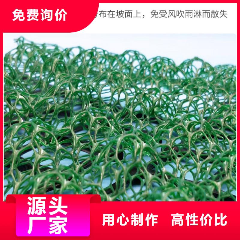 三维植被网复合土工膜随到随提