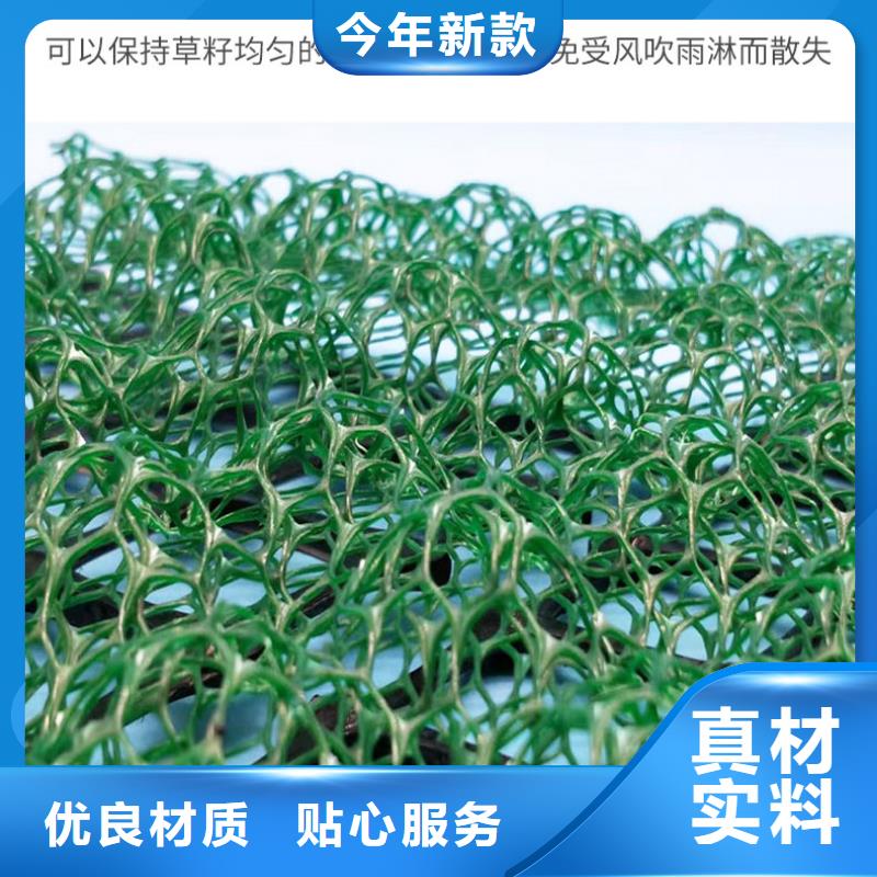 三维植被网土工布有实力有经验