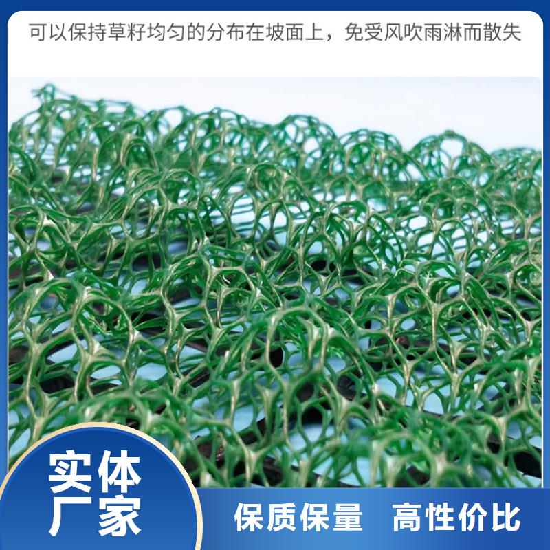 三維植被網(wǎng)塑料土工格柵經(jīng)銷商