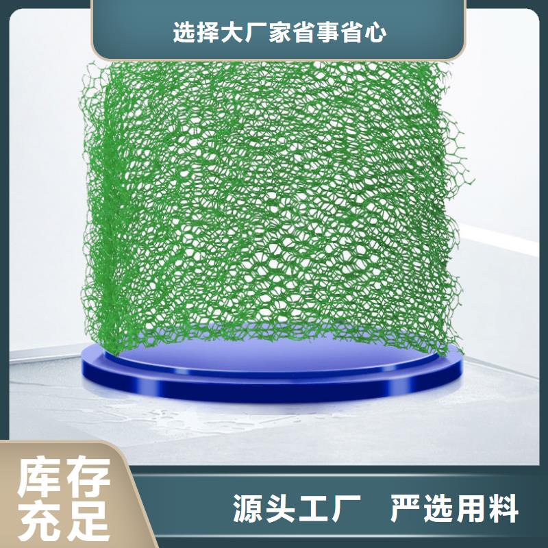 三維植被網(wǎng)垃圾填埋場(chǎng)材料型號(hào)全價(jià)格低
