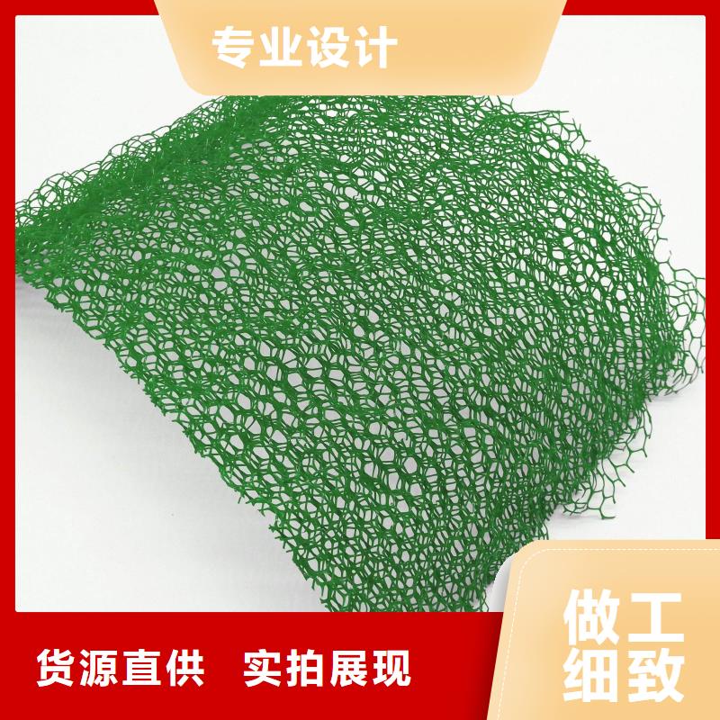 三維植被網(wǎng)塑料土工格柵經(jīng)銷商