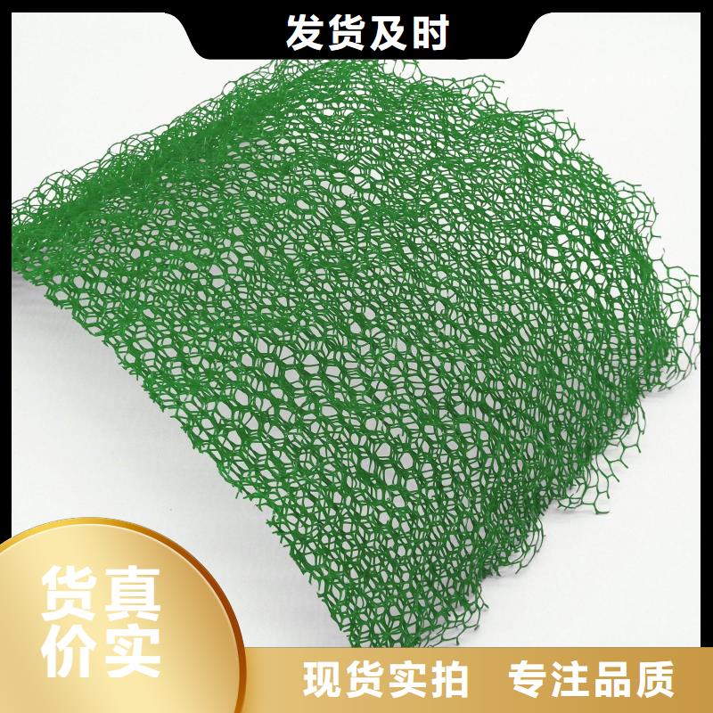 邊坡防護(hù)三維植被網(wǎng)廠家直供