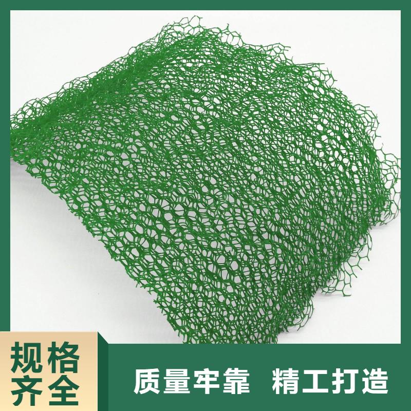 三维植被网复合土工膜随到随提