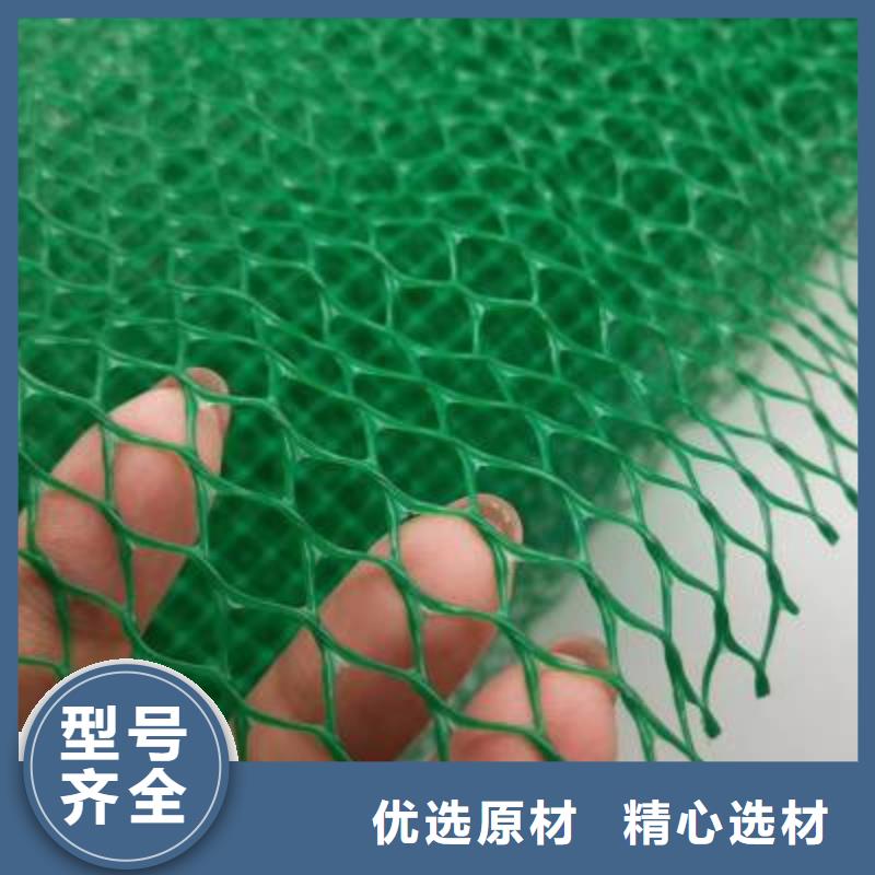 三维植被网塑料土工格栅经销商