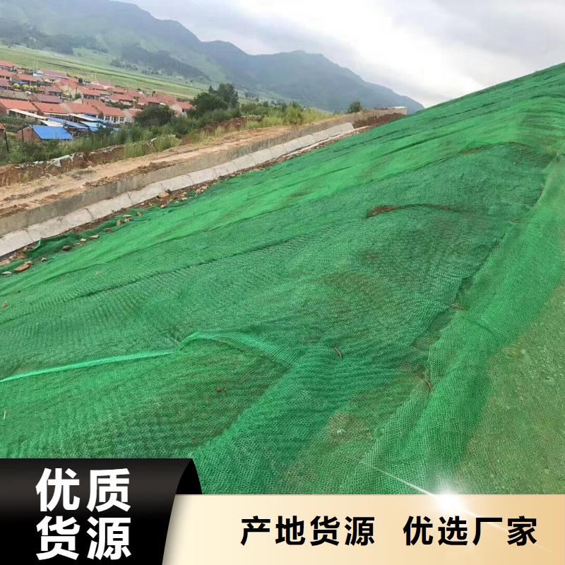 三維植被網(wǎng)土工布有實(shí)力有經(jīng)驗(yàn)