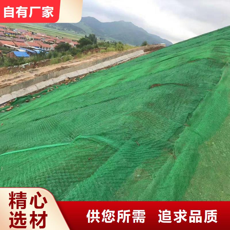 三維植被網(wǎng)復(fù)合土工膜隨到隨提
