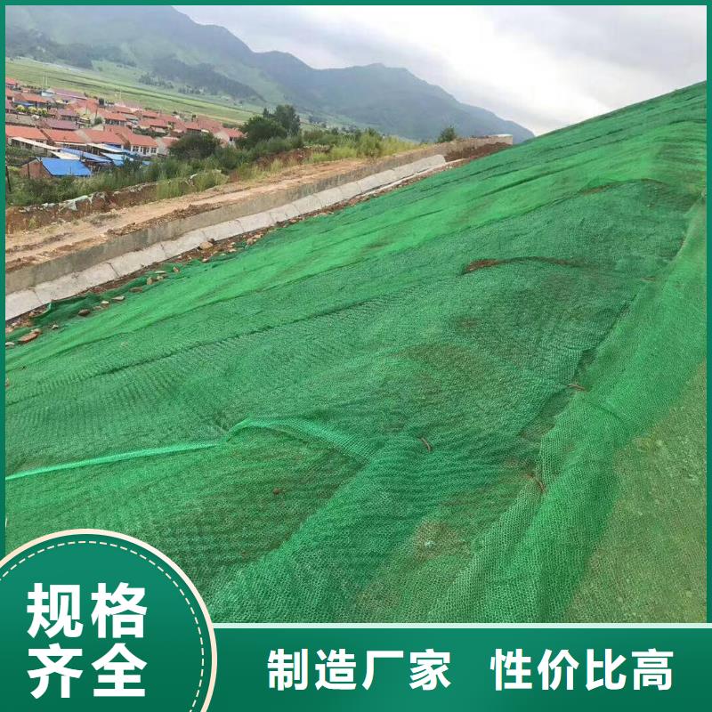 三維植被網(wǎng)反濾土工布批發(fā)價(jià)格